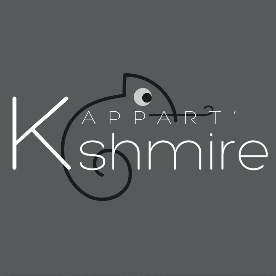 L'Appart K-Shmire- Cosy Et Spacieux, 4 Pers Le Mans Eksteriør bilde